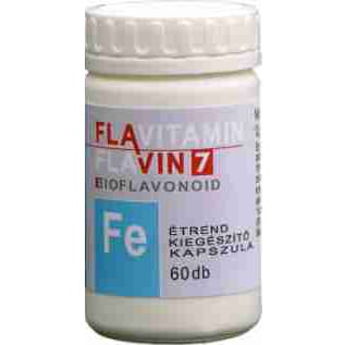 Flavitamin železo kapsula 60 ks