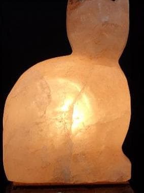 Soľný kryštál lampa mačka 1 ks